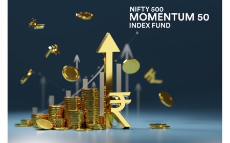 Unlock Momentum Investing with PNB MetLife Nifty 500 Momentum 50 Index Fund for Long-Term Growth