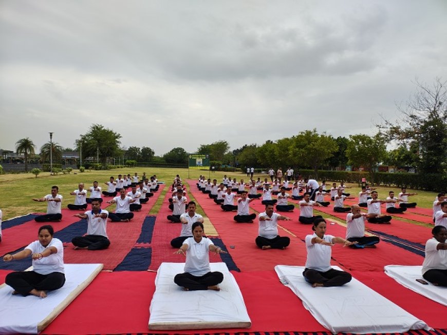 AIPL DreamCity Ludhiana to Celebrate International Yoga Day with 'Yoga by the Lake' and Sustainable Lifestyle Showcase