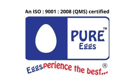 PURE Eggs: Leading the Way in Gujarat’s Eggs Industry